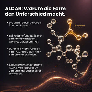 Acetyl L-Carnitin hintergrund 