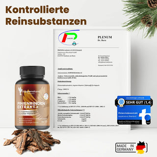 Pinienrindenextrakt Kapseln OPC + Vitamin C