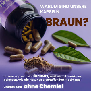 L-Theanin natürliche Kapseln