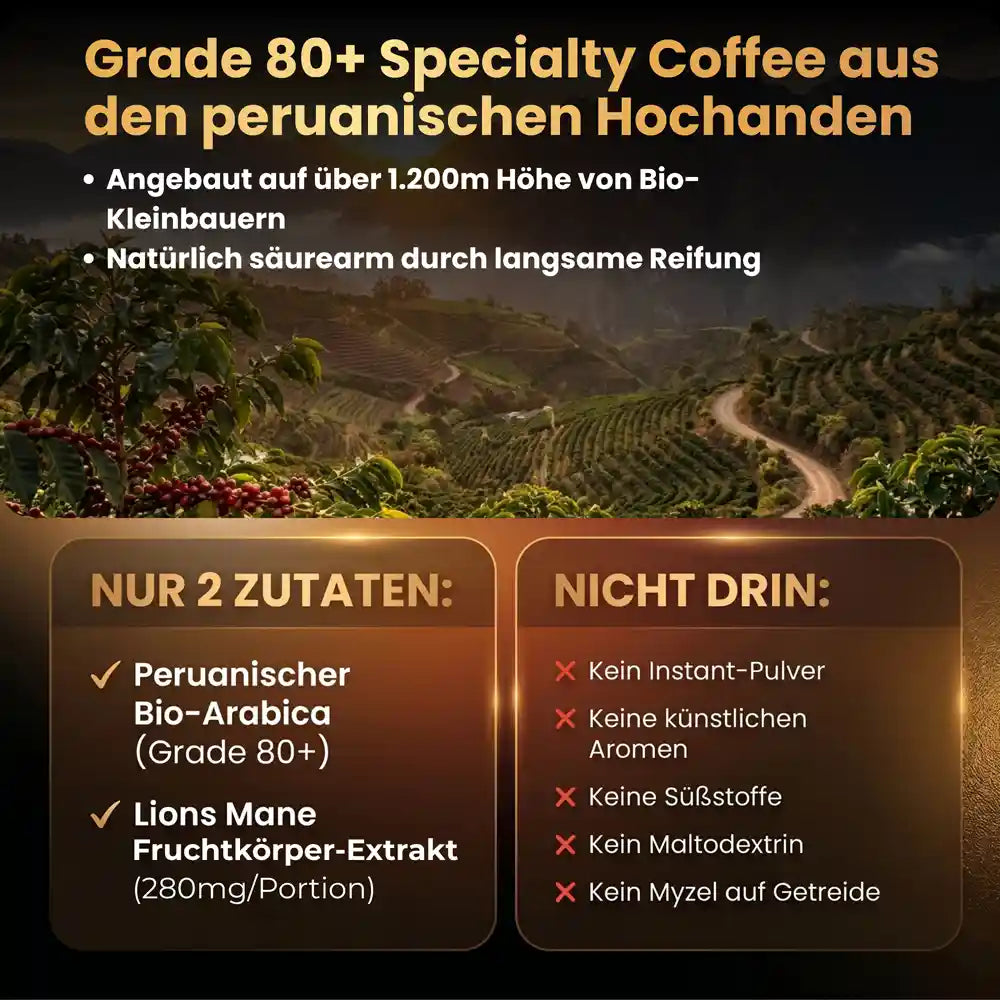 Pilzkaffee Wirkung