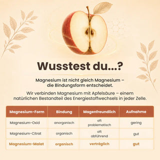 Magnesium Malat Nährwerte