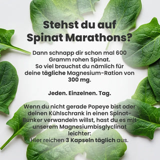 Magnesium Bisglycinat Kapseln - 360 Stück Hochdosiert