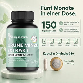 Grüne Minze Extrakt Reichweite