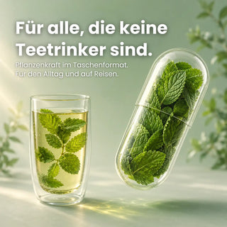Grüne Minze Extrakt Qualität