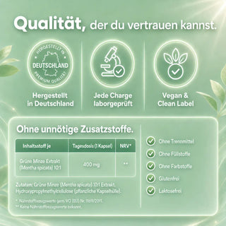 Grüne Minze Extrakt Qualität