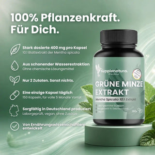 Grüne Minze Extrakt Eigenschaften