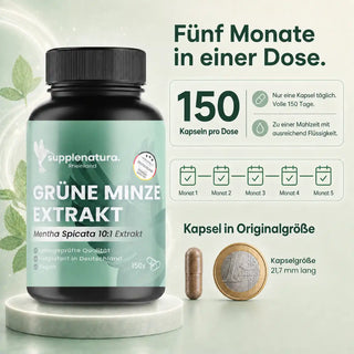 Grüne Minze Reichweite
