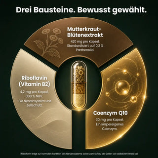 Mutterkraut Komplex Bausteine