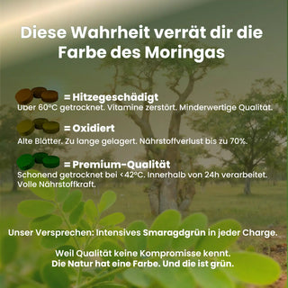 BIO Moringa Presslinge