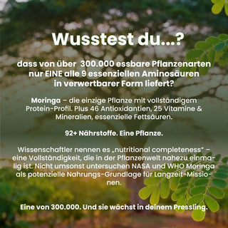 BIO Moringa Presslinge