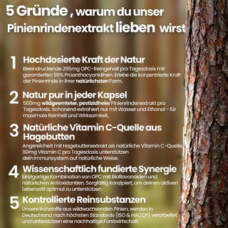 Pinienrindenextrakt Kapseln OPC + Vitamin C