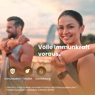 Pinienrindenextrakt Kapseln OPC + Vitamin C