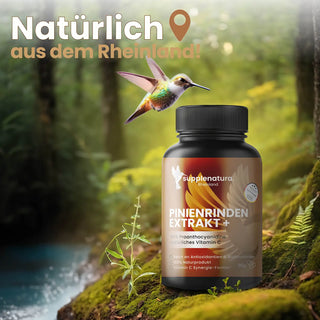 Pinienrindenextrakt Kapseln OPC + Vitamin C