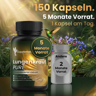 Lungenkraut - 400mg Kapseln - hochdosierter Extrakt