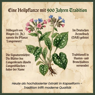 Lungenkraut - 400mg Kapseln - hochdosierter Extrakt